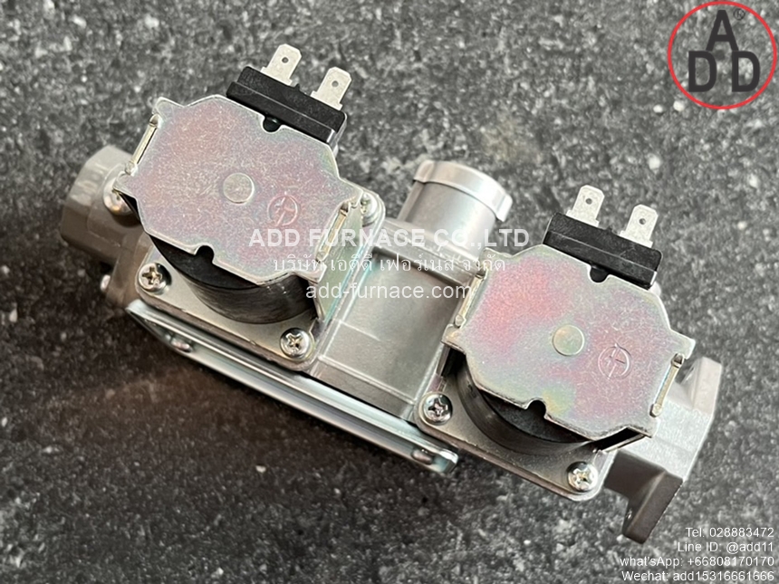WS-102-100 AC200V (10)